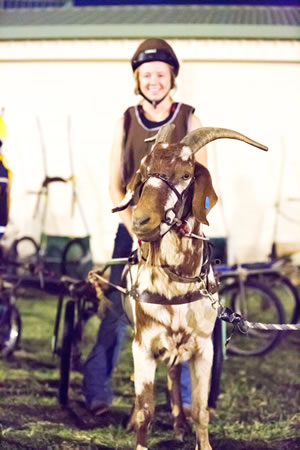 Tree of Knowledge Barcaldine
