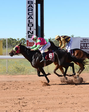 Tree of Knowledge Barcaldine