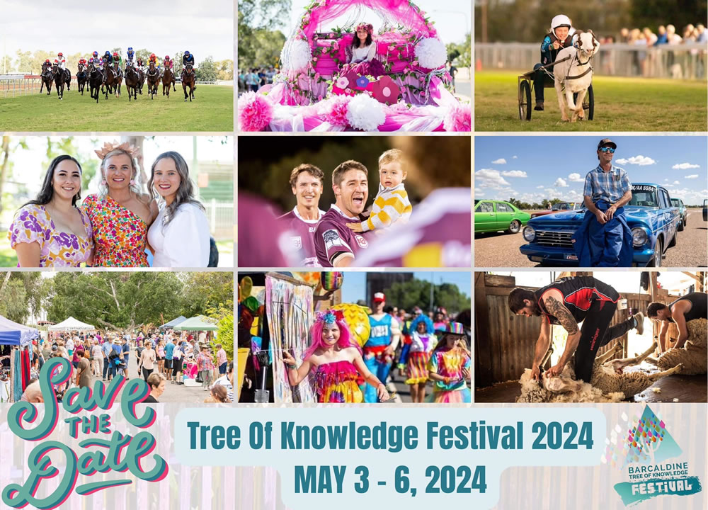 Tree of Knowledge Festival 2024