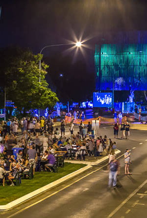 Tree of Knowledge Barcaldine